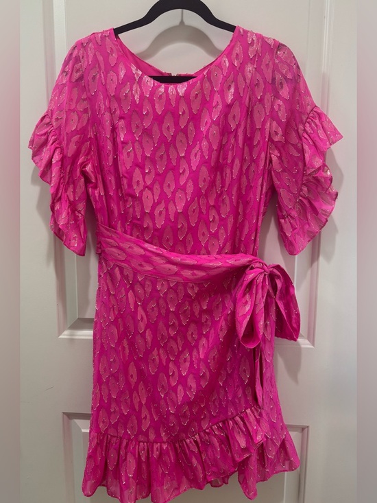Lilly Pulitzer Darlah Silk Razberry Leopard Metallic Mini Dress - Picture 3 of 8